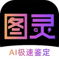图灵鉴定
